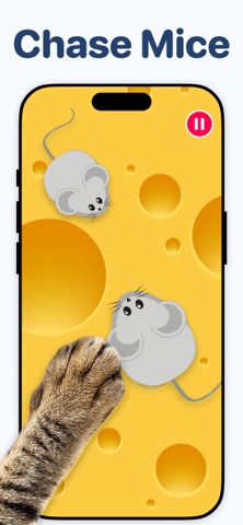 Games for Cats & Kittyㅤㅤ iPhone screenshot