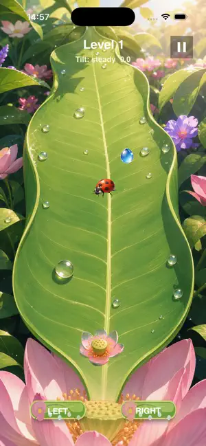 DewdropCollector screenshot 4