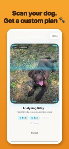 Puphood Screenshot 1 of 4