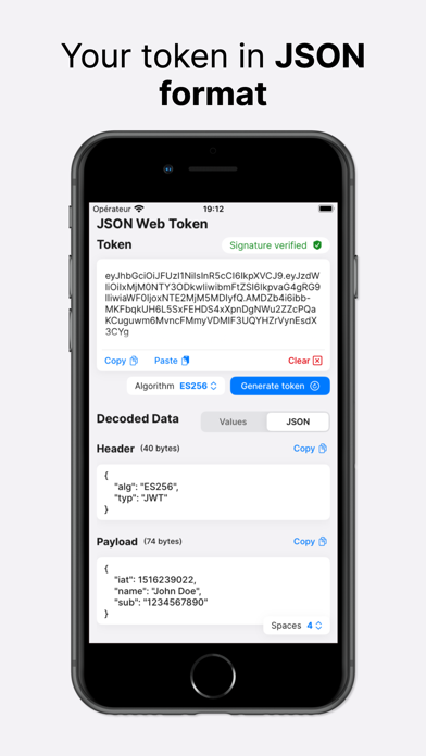 JSON Web Token Screenshot