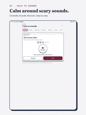 Bokedex: Dog Coach & Monitor iPad screenshot