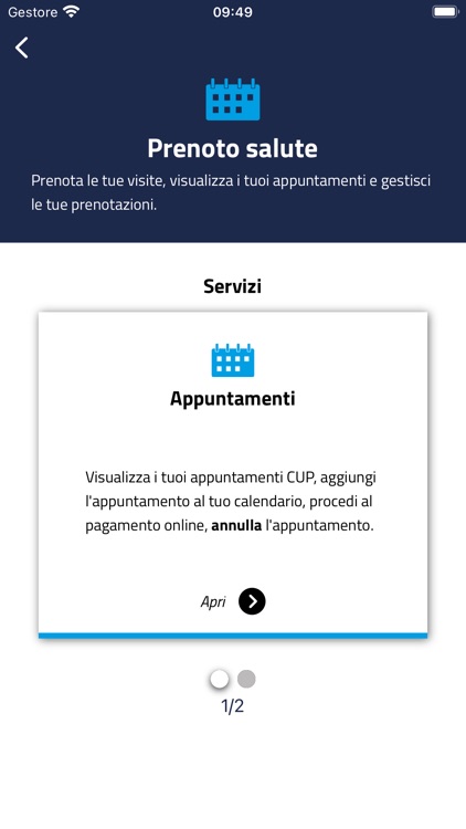 SaluteSimplex screenshot-4