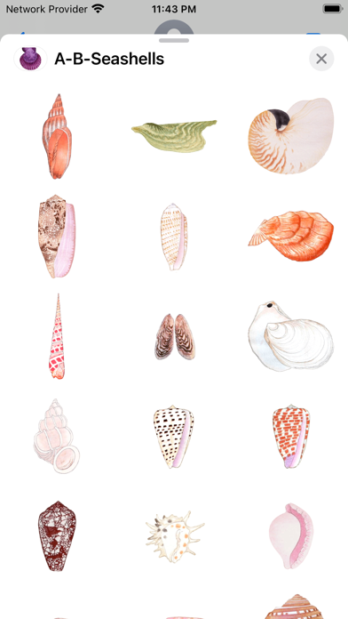 Screenshot #3 pour A-B-Seashells
