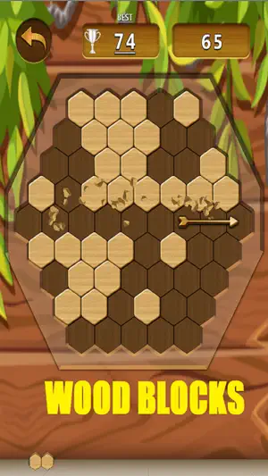 Puzzle Games: Wood Blocks screenshot 4