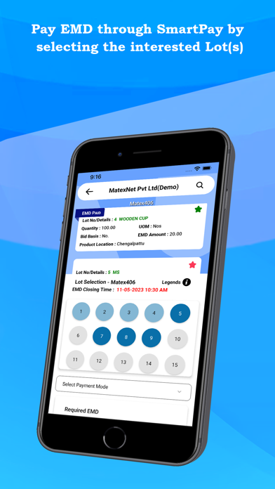 MatexNet Auction Screenshot