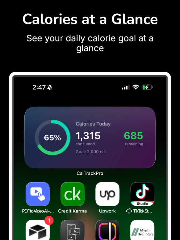 CalTrackPro iPad screenshot 1 - Health & Fitness app