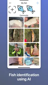 Fish and Fishing - KLEV iphone bilder 2