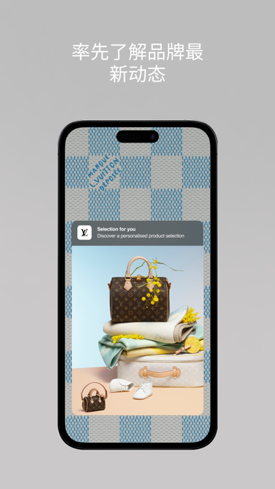 Louis Vuitton screenshot