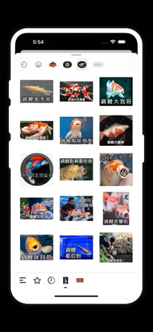 錦鯉都幾好笑 screenshot