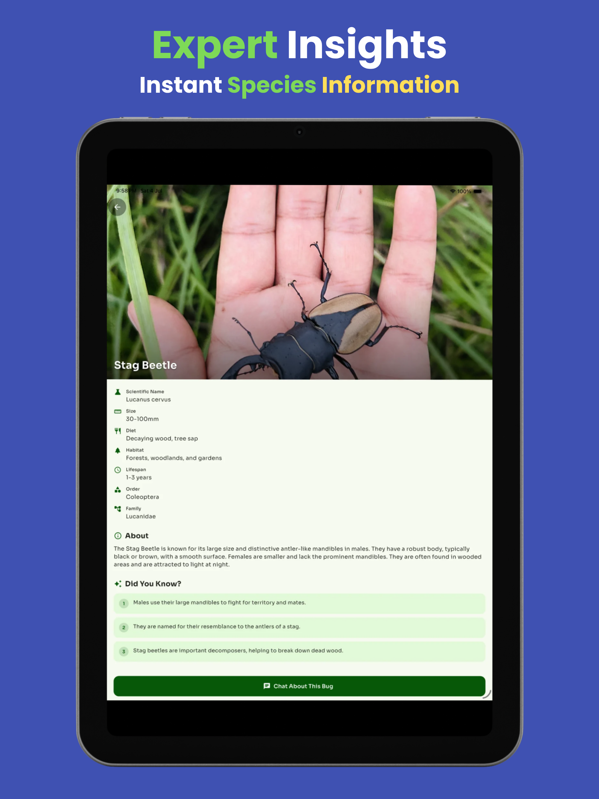 Bug Identifier 2026 screenshot 5