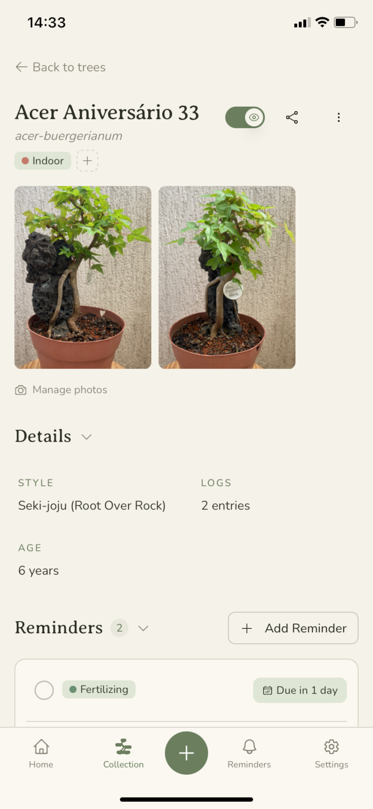 kinoki - bonsai journal & care