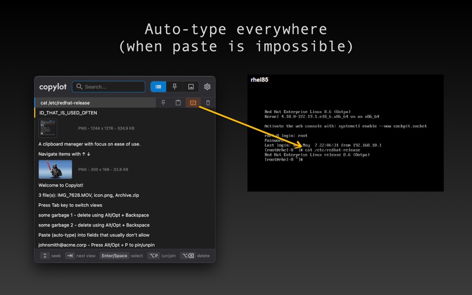 #1. Copylot (macOS) 来自: Teodor Bozhikov