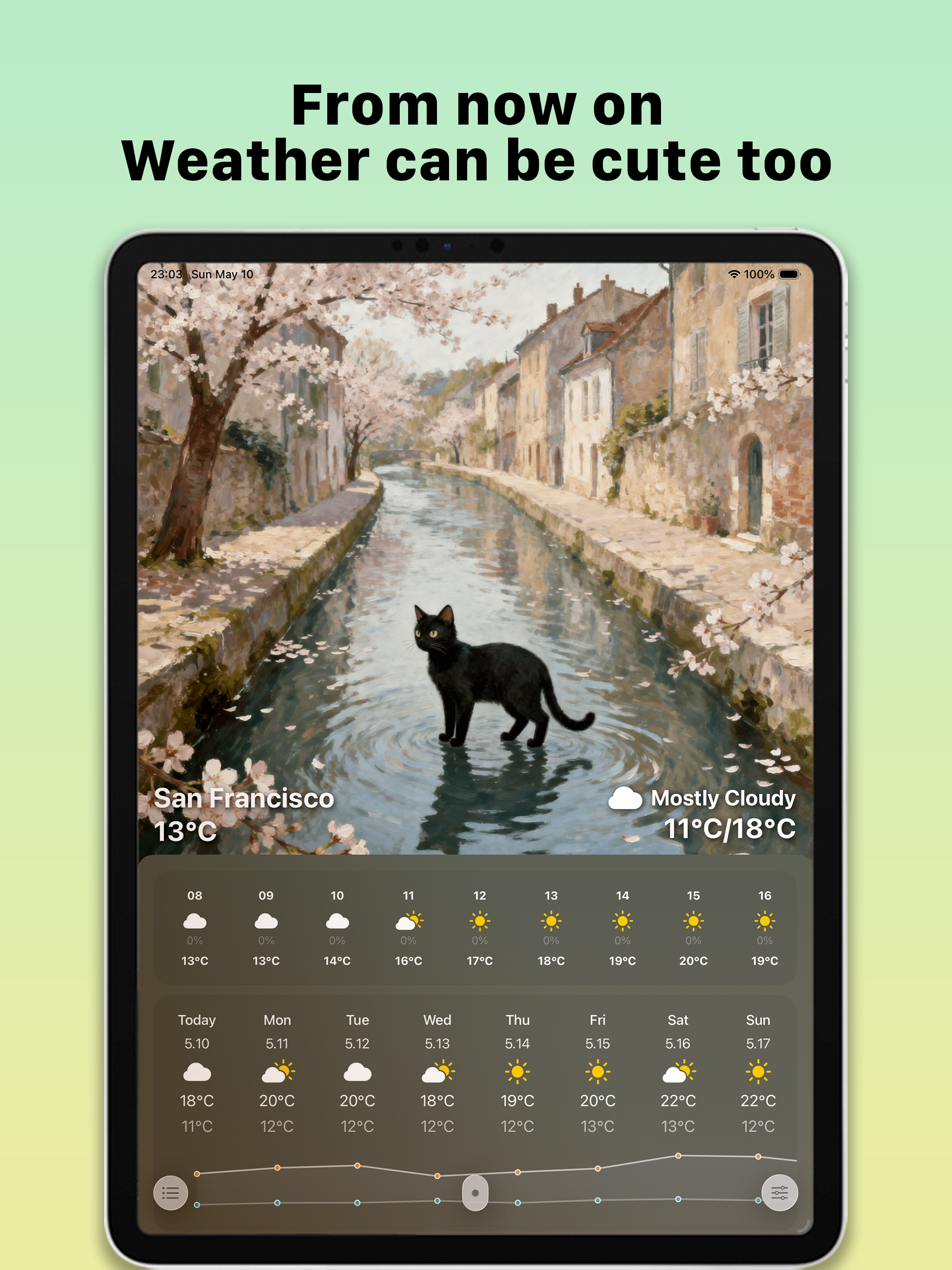 Meow Weather