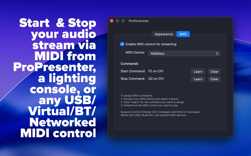 Audion Streamer screenshot