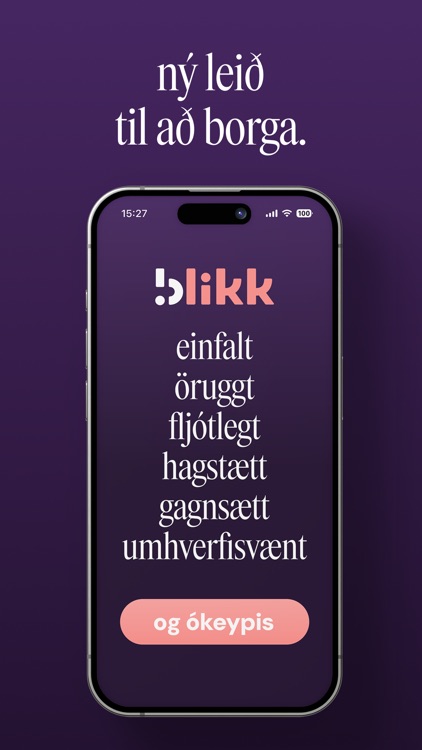 blikk greiðslur