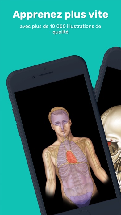 Screenshot #1 pour Easy Anatomy 3D