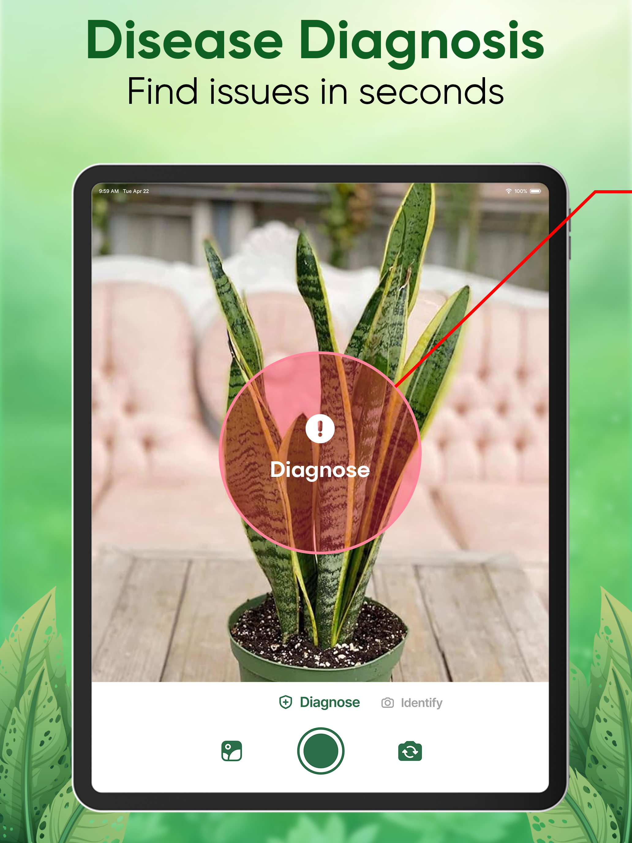 Plant Identifier - Care & Tips screenshot 14