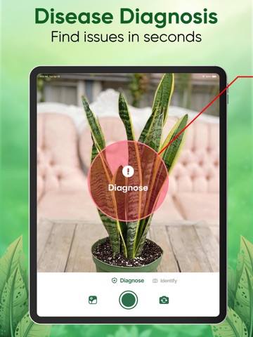 Plant Identifier - Care & Tips iPad screenshot