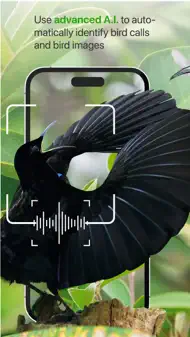 Birdly - BirdLife Australia iphone bilder 1