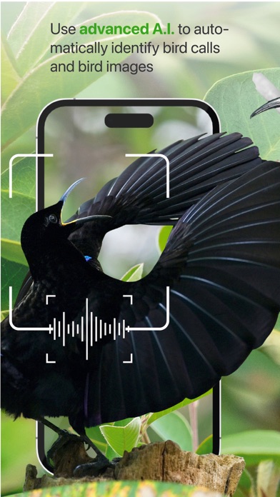 Birdly - BirdLife Australia Screenshot