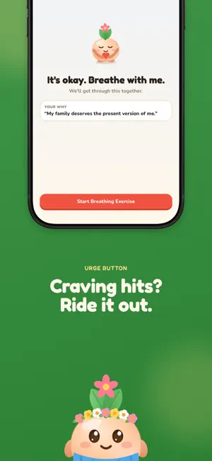 Stop It Tracker: Soberly screenshot 4