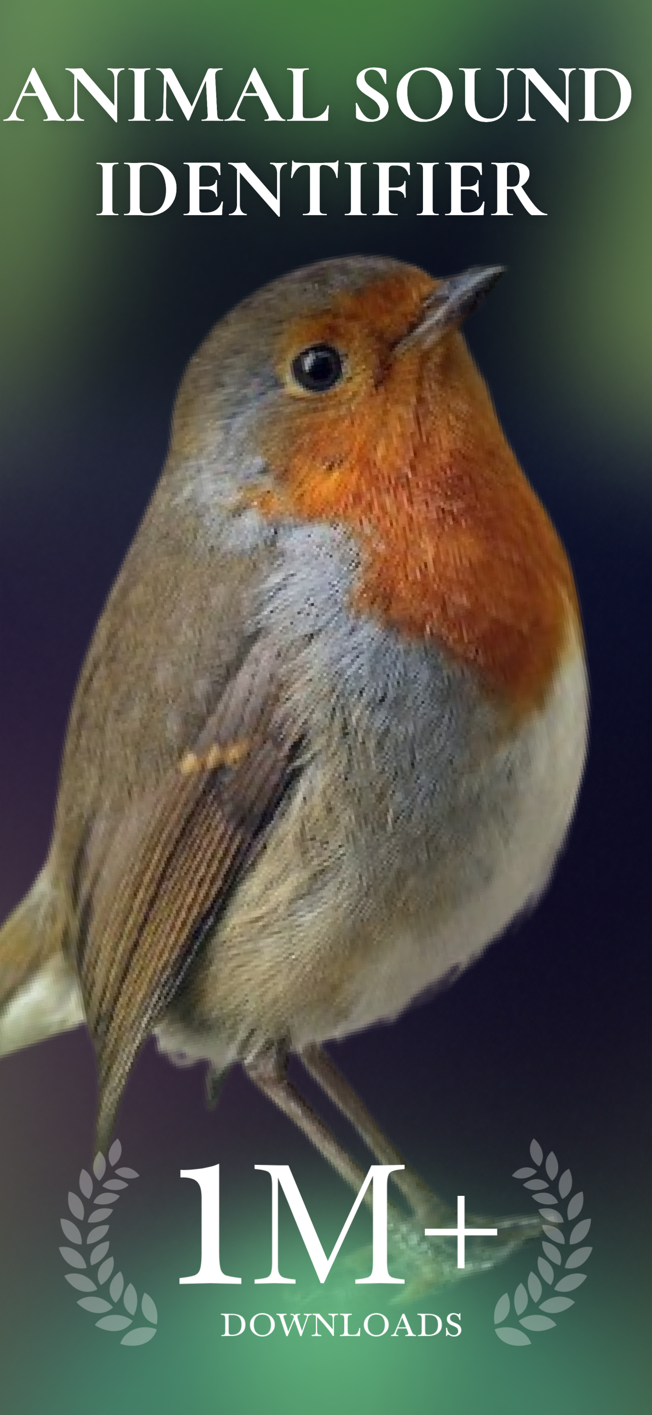 Animal Sound Identifier