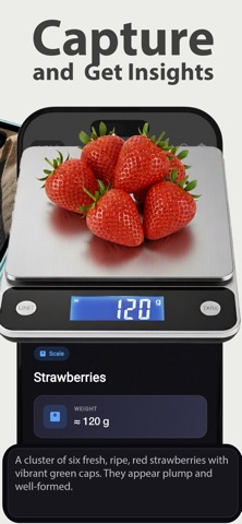 ScaleScan: Weighing AI oz/lbs iPhone screenshot