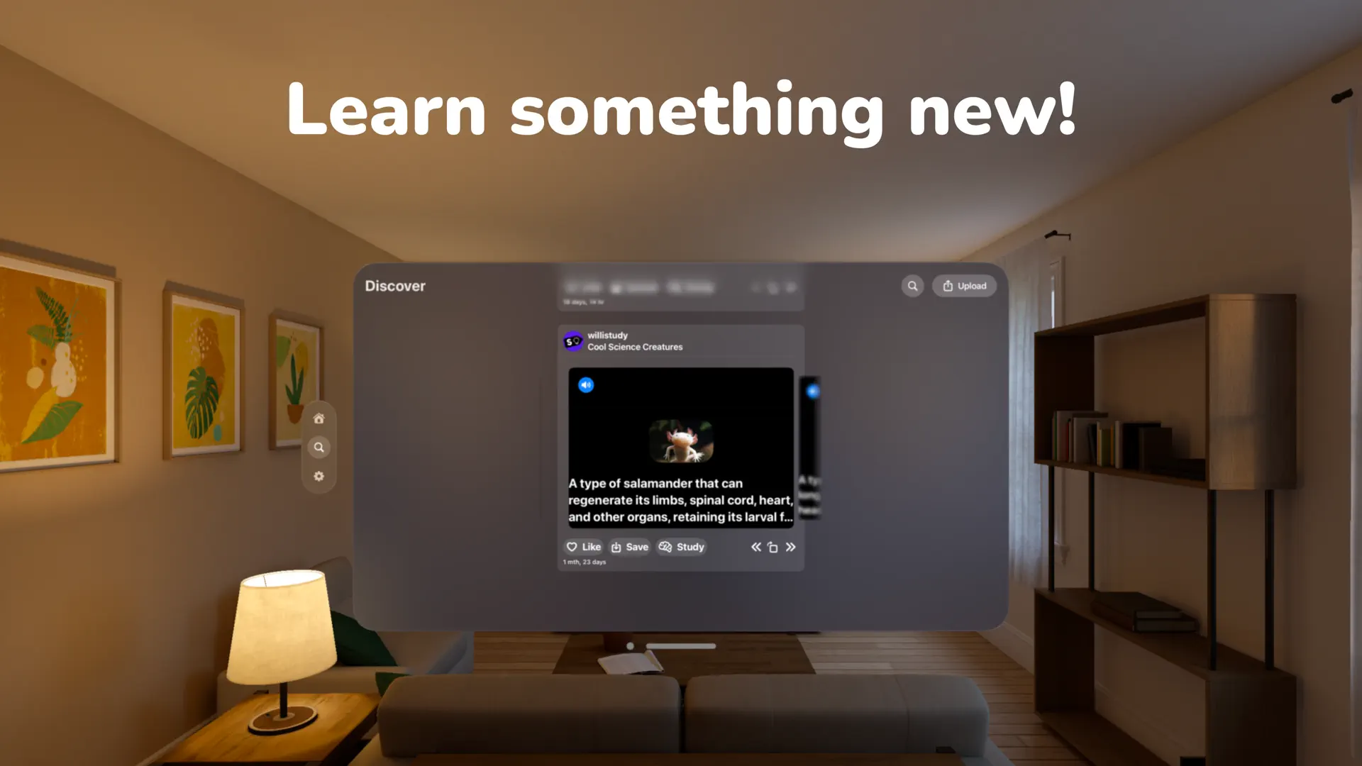 WilliStudy screenshot 2