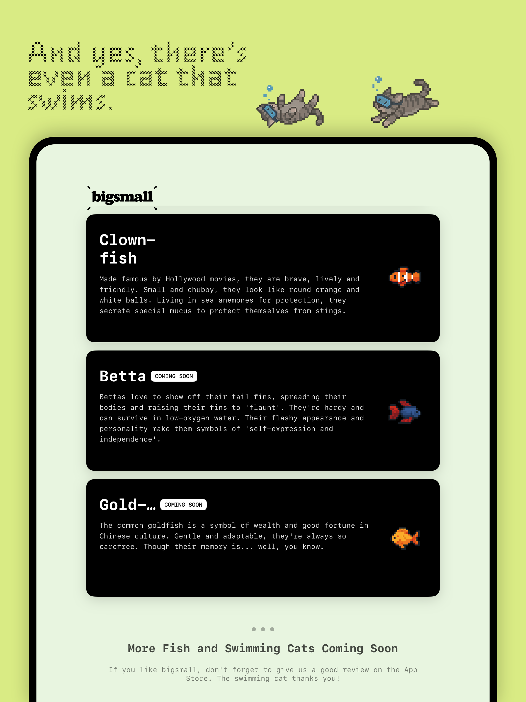 bigsmall - Fish. Cat. Widget.