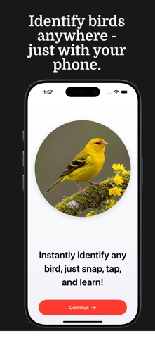Bird Identifier - Birdy Screenshot 1 of 4
