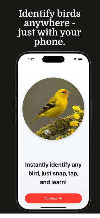 Bird Identifier - Birdy Screenshot 1 of 4