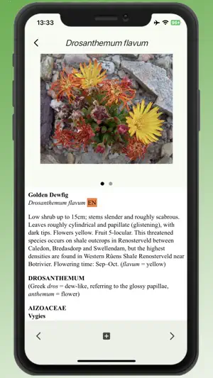 Field Guide to Renosterveld screenshot 4