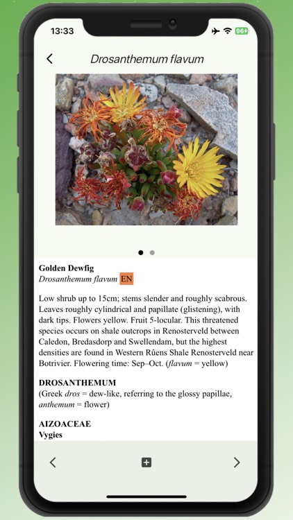Field Guide to Renosterveld screenshot-3