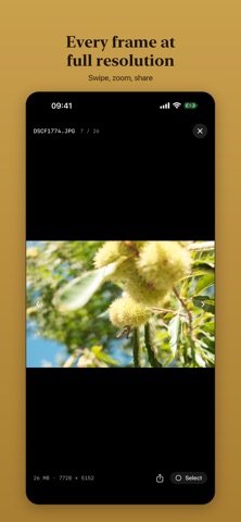 Fuji Bridge – Camera Import screenshot 4