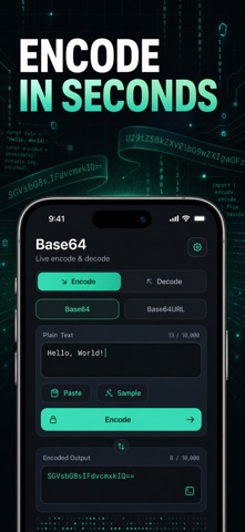 Base64 编码解码转换器 JWT Hex 开发工具 screenshot