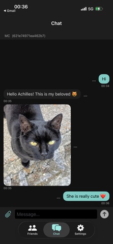 Secure Chats Screenshot 1 of 8