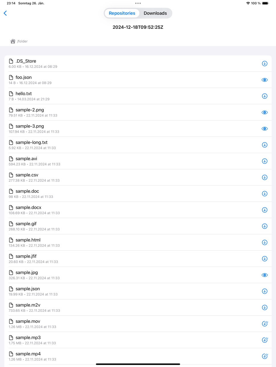 iPad screenshot