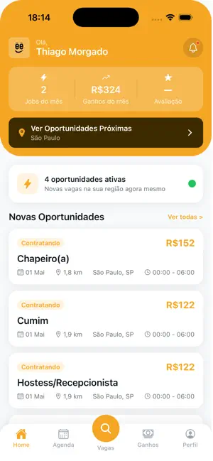 Freela Serviços iPhone screenshot 5