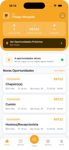 Freela Serviços iPhone screenshot 5