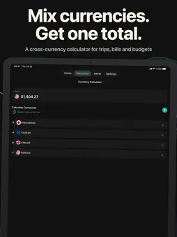 Currency Converter Flexchange screenshot 9