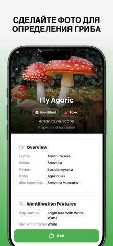 Определитель Грибов - Mushby iPhone screenshot 3