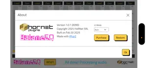 HoRNet BalancEQ screenshot 3