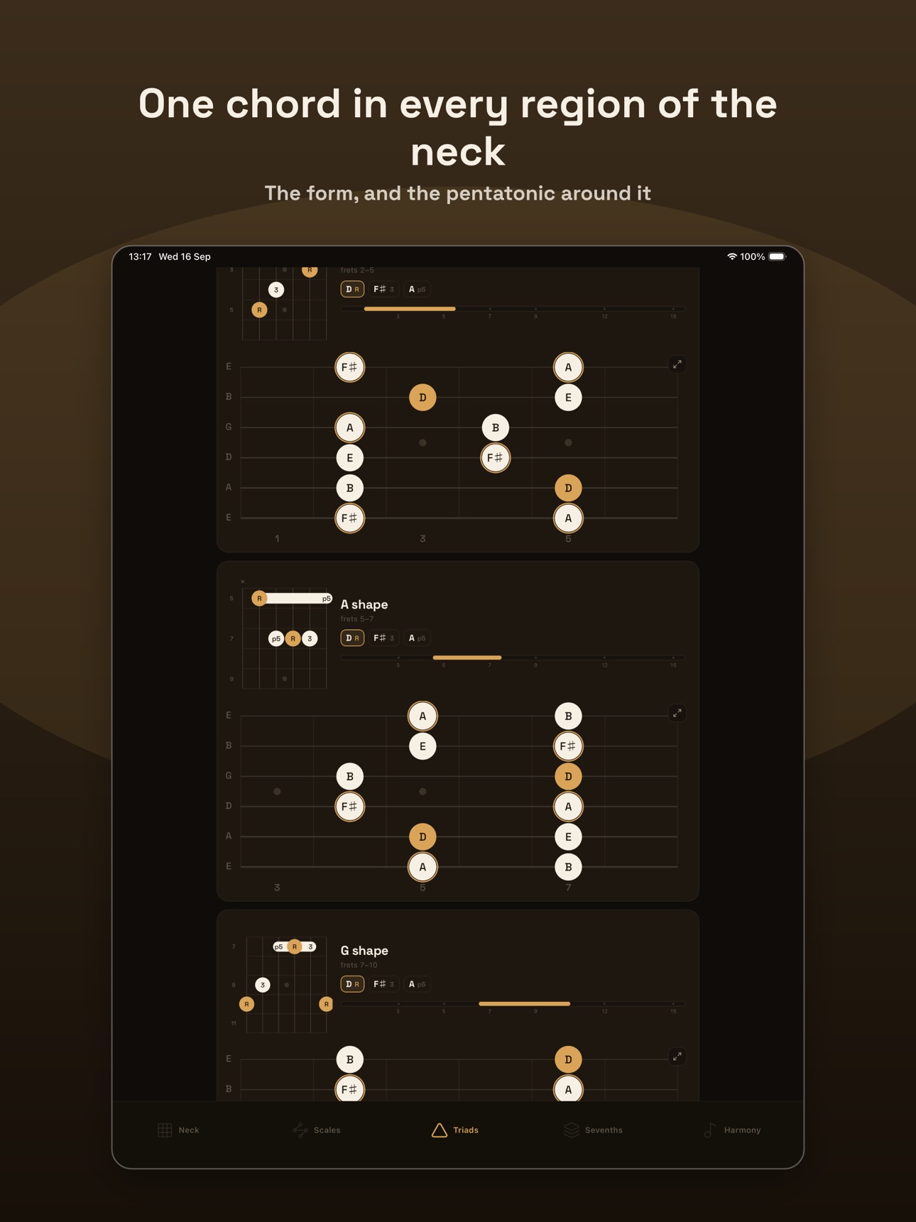 Screenshot 11 of traste pro: guitar scales