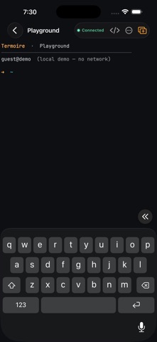 Termoire iPhone screenshot