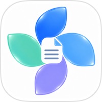 图拍拍｜找回照片里的文字