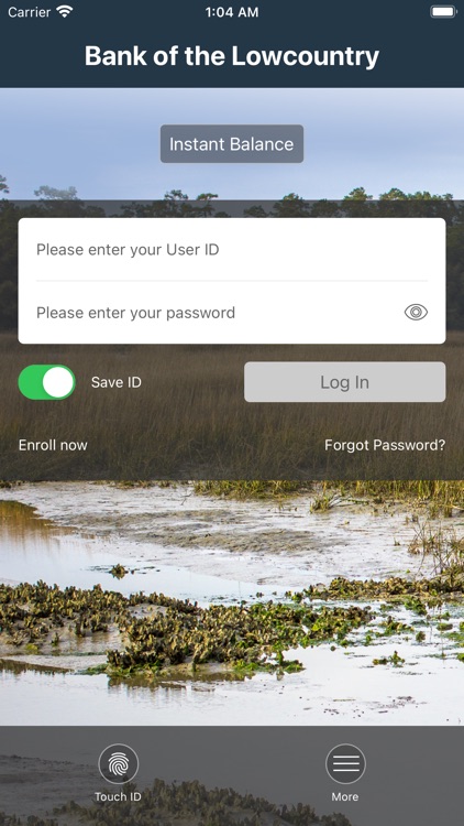 Bank of the Lowcountry Mobile