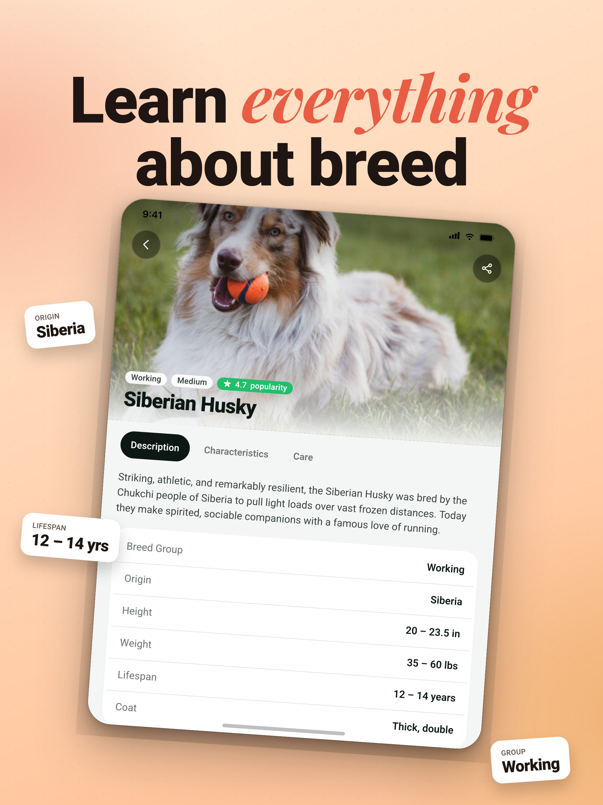 Dog Breed Identifier by Image