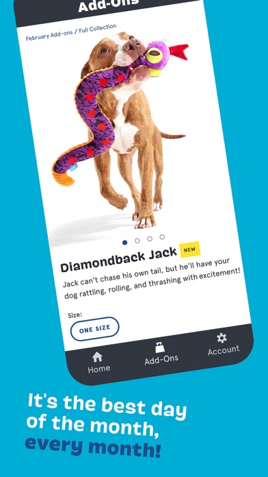 BARK - BarkBox, Super Chewer Screenshot