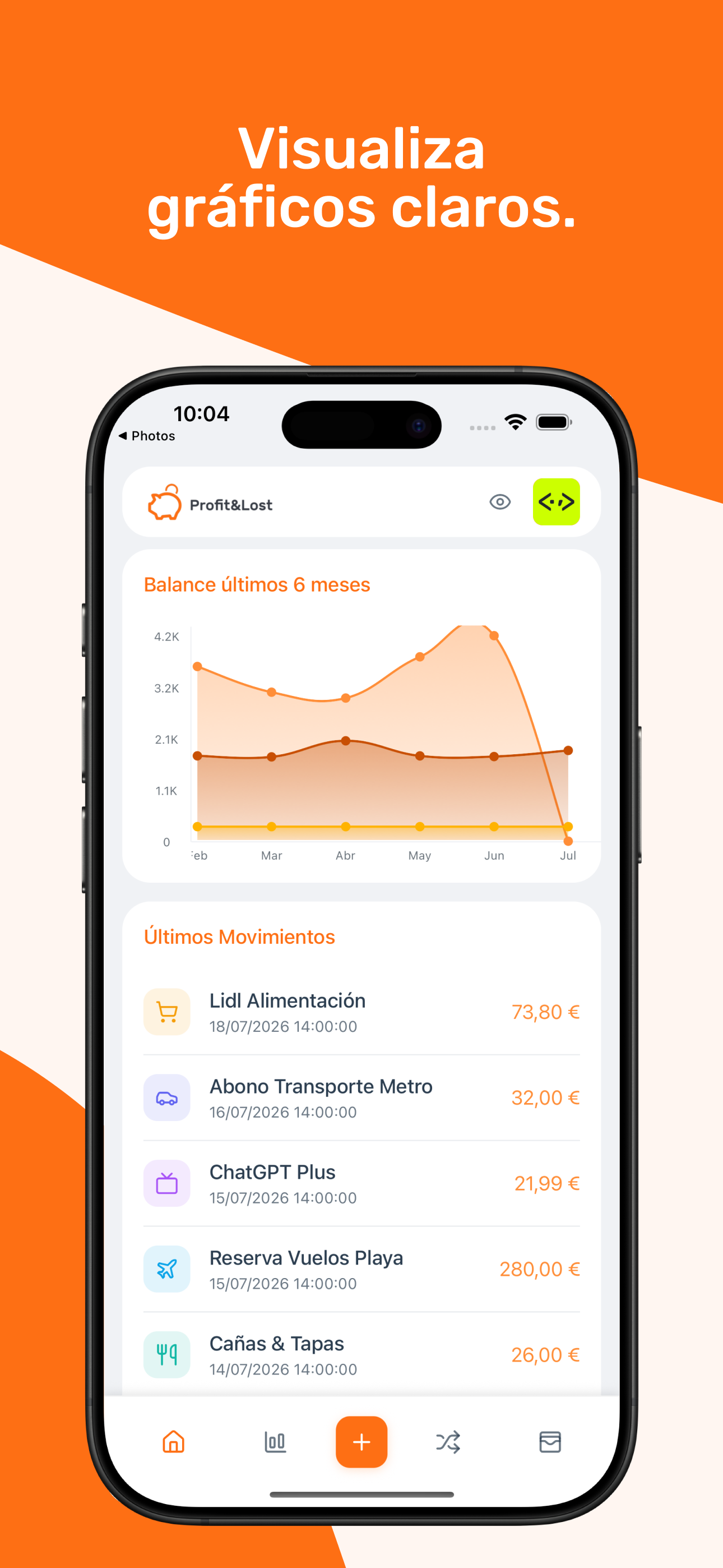 Control de gastos Profit&Lost screenshot 4