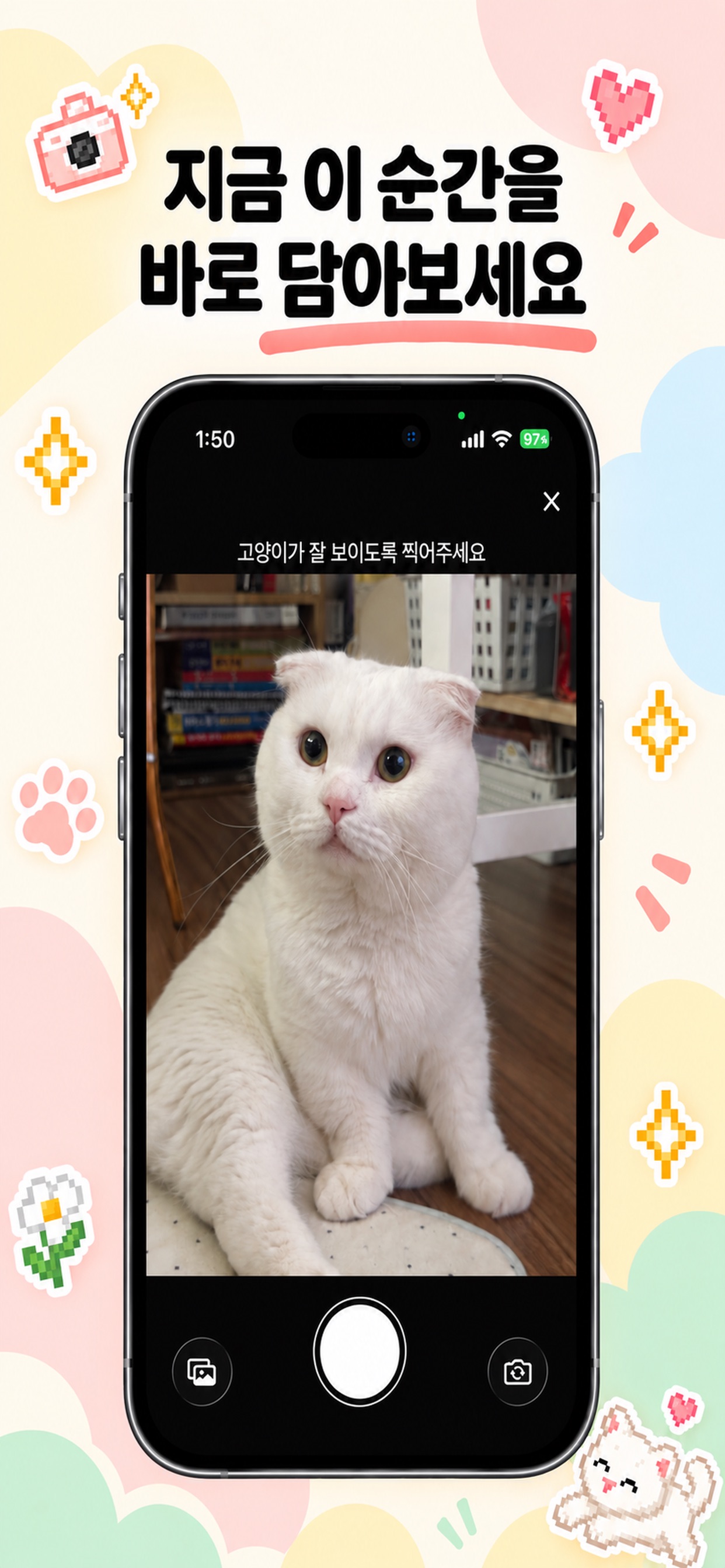 Screenshot 3 of 냥줍 - 나만의 고양이 피드
